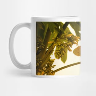 cli yellow butterfly Mug